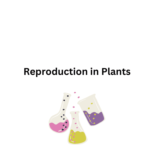 Reproduction in Plants